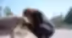 04ecc5_d7f6b5c42c4744dda9749c078585e3a3~mv2.avif