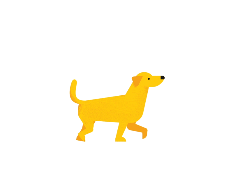 preloader.gif