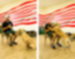 Evan Fried, Director of the Veterans Training Program, works closely with rescue dogs like Trooper, before pairing the dog with a veteran, and also throughout the duration of the training program.