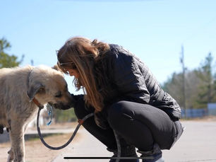 Animal welfare groups call on Biden admin to address 'thousands' of dogs abandoned by migrants