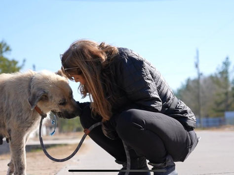 Animal welfare groups call on Biden admin to address 'thousands' of dogs abandoned by migrants