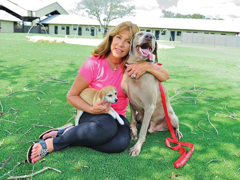 A visit to a Miami-Dade animal shelter to rescue a Weimaraner was life-changing for Lauree Simmons
