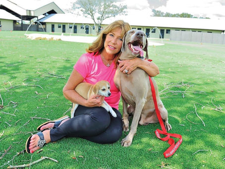 A visit to a Miami-Dade animal shelter to rescue a Weimaraner was life-changing for Lauree Simmons