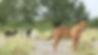 1847a364-Video-25-ezgif.com-webp-to-jpg-converter.jpg