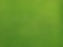 Grassy Field