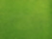Grassy Field
