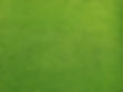 Grassy Field