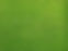 Grassy Field