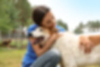 AdobeStock_296614138.jpeg
