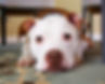 image-asset (1).jpeg