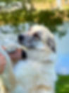 Precious Annual report photo 3.JPG