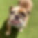 19b280c3dad3a6c1c117351e50b00adf.jpeg