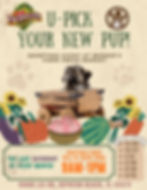 U-Pick Your New Pup!
