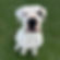 3031d91841dbca78ea1482c1c2b4536c.jpeg