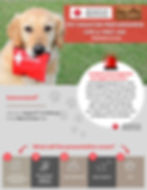 Pet Disaster Preparedness, CPR, & First Aid Presentation