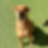 0ffd8127b919d41a143fa56ff8f4eb59.jpeg