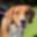 3abda15d4ce0f4721641d09e720fcaf3.jpeg