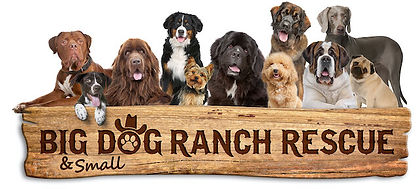 BDRR+Logo+Wood+Panel-Dogs.jpg