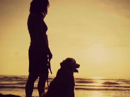 Grieving The Loss of a pet