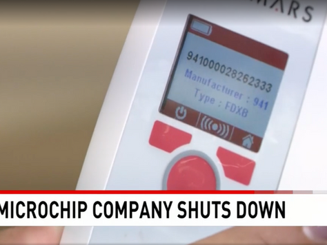 Unexpected shutdown of 'Save This Life' leaves pets without registered microchips