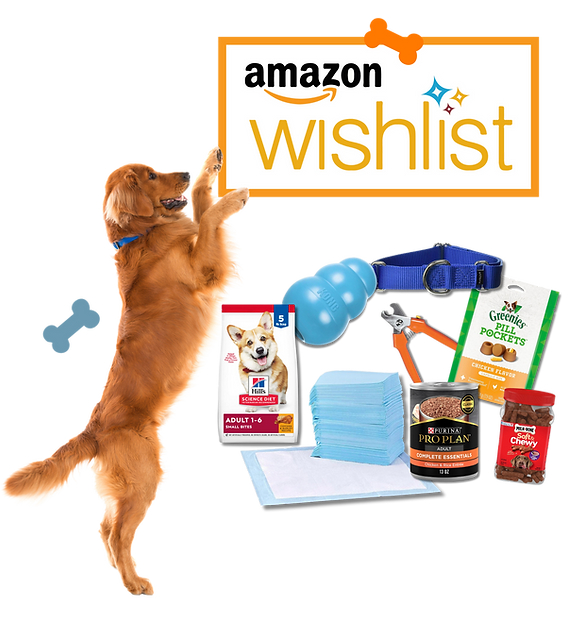 Amazon Wishlist-4.png