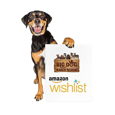 Amazon+Wishlist+Florida_edited.png