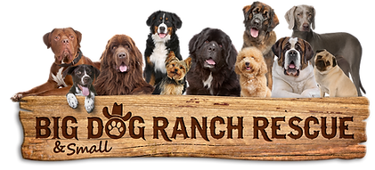 BDRR Logo Wood Panel-Dogs.png