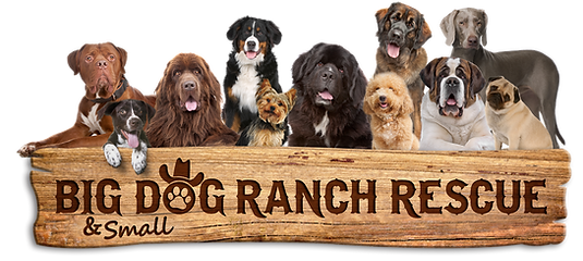 BDRR Logo Wood Panel-Dogs.png