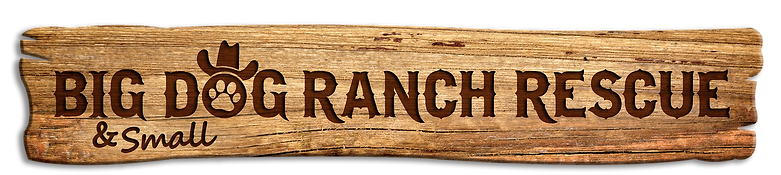 BDRR Logo Wood Panel-Primary.png