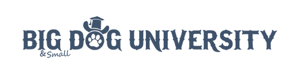 BDU+LONG+NAVY!.png_format=2500w.png