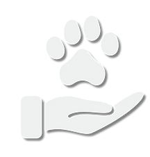 Lifseaving Card! (6 x 4 in).png