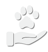 Lifseaving Card! (6 x 4 in).png